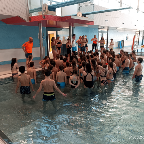 schwimmwoche22