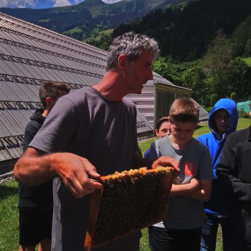 Bienen22