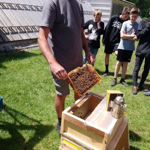Bienen22