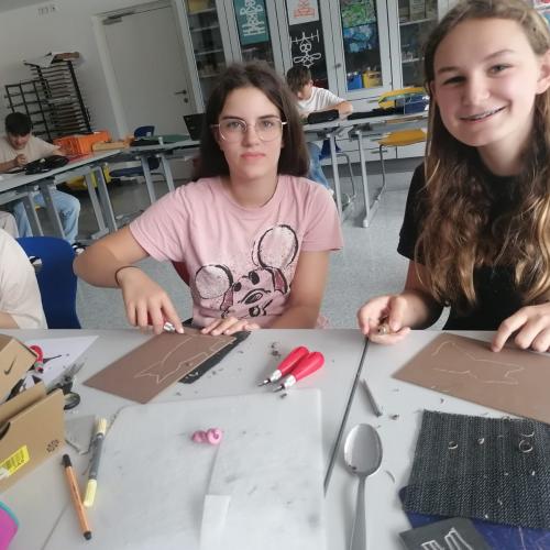 Workshop_linodruck