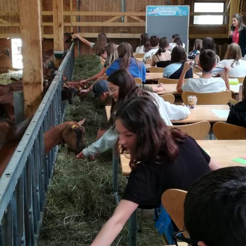 Ein Tag im "etwas anderen Klassenzimmer"