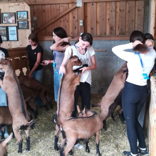 Ein Tag im "etwas anderen Klassenzimmer"