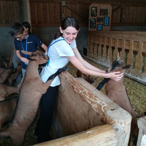 Ein Tag im "etwas anderen Klassenzimmer"