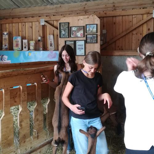 Ein Tag im "etwas anderen Klassenzimmer"