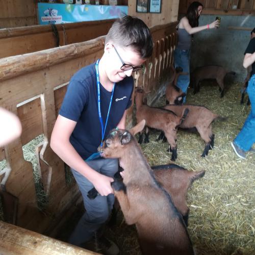 Ein Tag im "etwas anderen Klassenzimmer"