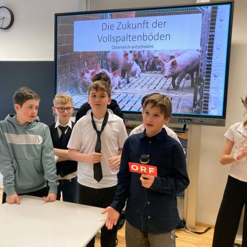 Vollspatelltenböden_Diskusion