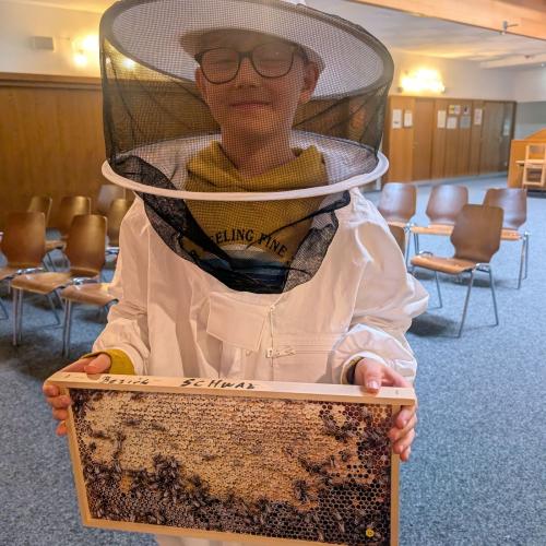 Bienen26