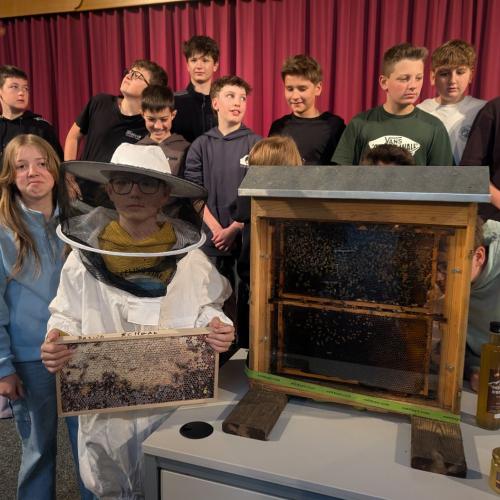 Bienen26