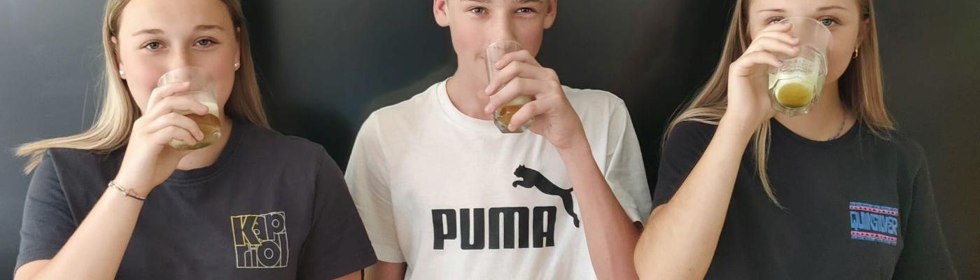 Japan1
